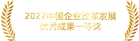 獎項(xiàng)